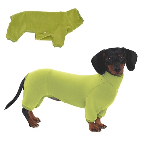 Rollkragenpullover für Dackel-Hunde – Warme Winterkleidung für Dackel, Winteroutfit für Teckel (Grün, XS) von ESCCBOO