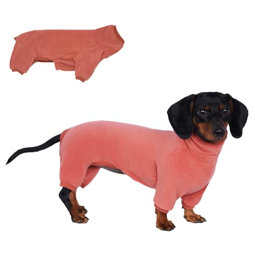 Rollkragenpullover für Dackel-Hunde – Warme Winterkleidung für Dackel, Winteroutfit für Teckel (Rot, M) von ESCCBOO