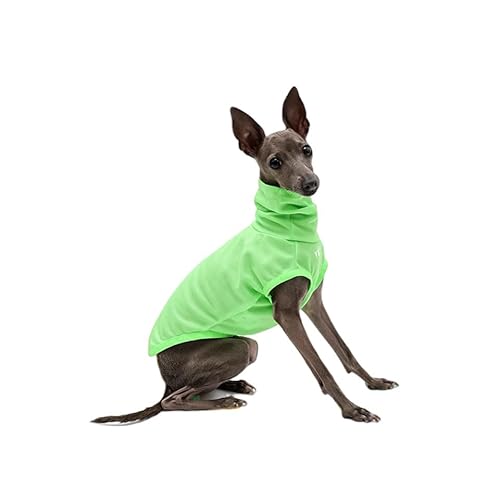 Italienische Windhundkleidung, leichtes und atmungsaktives Sonnenschutz-Tanktop für italienische Windhunde und Whippets, Grün, Größe L Italienische Windhundkleidung, leichtes und atmungsaktives Sonnenschutz-Tanktop für italienische Windhunde und Whippets, Grün, Größe L von ESCCBOO
