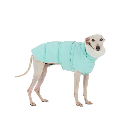 Winterjacke für Dackel & Windspiel, Wasserdichter Hundemantel mit Fleecefutter, Gepolsterter Schneeanzug für kleine Hunde(Grün, M (6–9kg)) von ESCCBOO