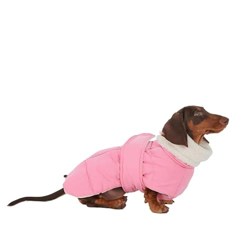 Winterjacke für Dackel & Windspiel, Wasserdichter Hundemantel mit Fleecefutter, Gepolsterter Schneeanzug für kleine Hunde(Rosa, L (9–13 kg)) von ESCCBOO