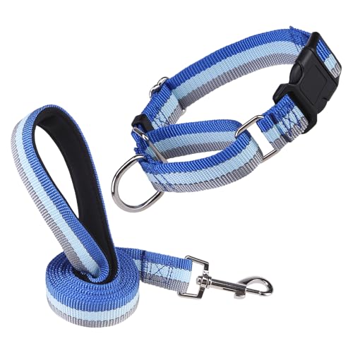 ESGPET Martingale Hundehalsband und Leine, Set für kleine, mittelgroße und große Hunde, reflektierendes, strapazierfähiges Halsband für Hunde, verstellbar, langlebig, mit Leine zum Spazierengehen, ESGPET Martingale Hundehalsband und Leine, Set für kleine, mittelgroße und große Hunde, reflektierendes, strapazierfähiges Halsband für Hunde, verstellbar, langlebig, mit Leine zum Spazierengehen, von ESGPET