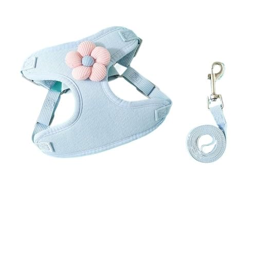 DCNIYT Hundeleine, Kätzchen und Welpen können verwendet werden, um das Platzen des Herumlaufens zu verhindern, um die Sicherheit Ihres Haustiers zu gewährleisten (Blau, L (4–8 kg)) von ESMENATZLS