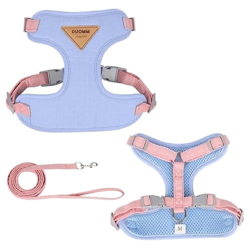 DCNIYT Katzengeschirr-Set, verstellbares Welpengeschirr, Weste, ausbruchsicher, Brustgurt, Chihuahua, Mops, Outdoor, Spazierengehen, Leine (Blau, Größe S 3,5–6,5 kg) von ESMENATZLS
