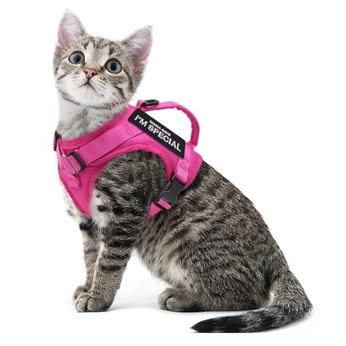 DCNIYT Nylon-Katzengeschirr mit 2 Aufklebern, Militär-Katzengeschirr mit Griff, für Katzen, kleine Hunde, Haustier-Training, Spazierengehen, Chihuahua, Rosa von ESMENATZLS