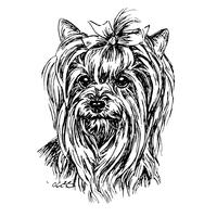 Marlies Esser - Emaille-Schild-Text:"Hier wache ich!" [Yorkshire Terrier] von ESSER, MARLIES