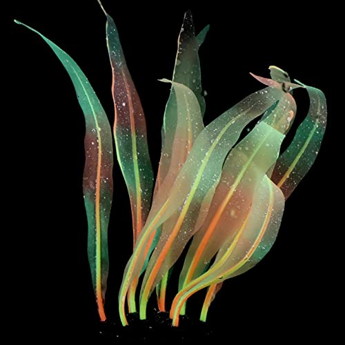 ESTCNK Künstliche Aquarium-Dekoration aus Silikon, hohe Simulation, realistisch, bunt, Wasserpflanze, Seetang, Aquarium-Dekoration ESTCNK Künstliche Aquarium-Dekoration aus Silikon, hohe Simulation, realistisch, bunt, Wasserpflanze, Seetang, Aquarium-Dekoration von ESTCNK