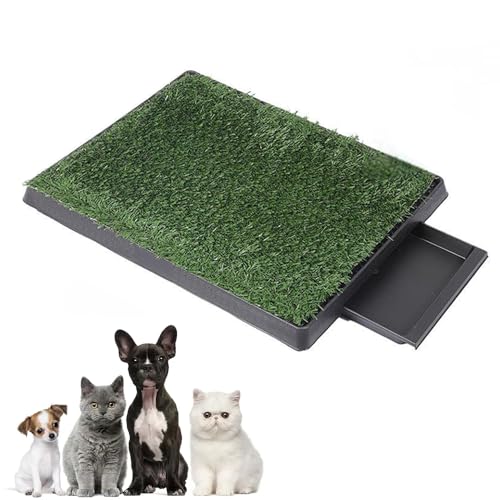 Natural Grass Dog Potty Trainer - Waschbare Welpenunterlage für kleine & mittelgroße Hunde, realistischer Kunstrasen Indoor/Outdoor Toilette mit Abnehmbarer Ablaufschale für Wohnungen, Balkon Natural Grass Dog Potty Trainer - Waschbare Welpenunterlage für kleine & mittelgroße Hunde, realistischer Kunstrasen Indoor/Outdoor Toilette mit Abnehmbarer Ablaufschale für Wohnungen, Balkon von ESTTO