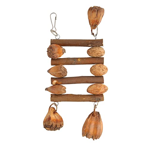 ETAINGYEUN Vogelkauenspielzeug Log Nuts handgefertigtes Papagei Käfig Kauen Spielzeug für Macaw Lovebird Shotel Cockatiel geeignet ETAINGYEUN Vogelkauenspielzeug Log Nuts handgefertigtes Papagei Käfig Kauen Spielzeug für Macaw Lovebird Shotel Cockatiel geeignet von ETAINGYEUN