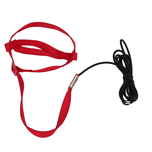 ETAINGYEUN Vogeltraktionsseil Anti-Bite-Flugtraining Seil für Party für Party (Xs) von ETAINGYEUN