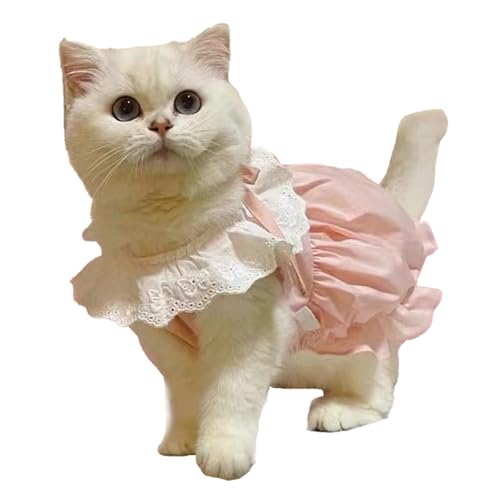 Haustierkleid, niedlich, bequem, atmungsaktiv, Hundekleidung, geeignet für Frühlings- und Sommerpartys, Malteser-Katzenkleid (L) von ETAINGYEUN