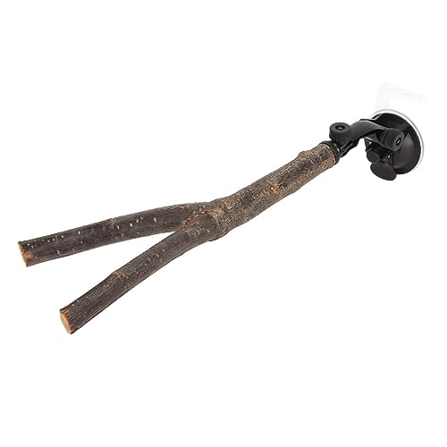 Holzbaumzweiste mit Holzpapagei, geeignet für Vogelübungen und Spiele, kleine und mittlere Vögel (Etaingyeun65F0VC1S-12) von ETAINGYEUN