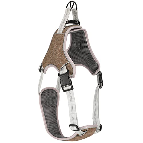 Hundeweste-Träger reflektierende verstellbare Außen-Pet-Anti-verlorene große Medium, die für Nachtspaziergänge geeignet sind (XL) von ETAINGYEUN