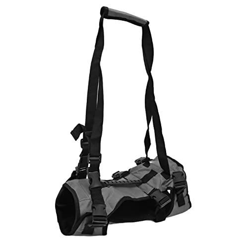 Katzenweste Leine verstellbare atmungsaktive Modehund -Hunde Walking -Leine Nylon geeignet für ältere Hunde mit Arthritis (S) von ETAINGYEUN