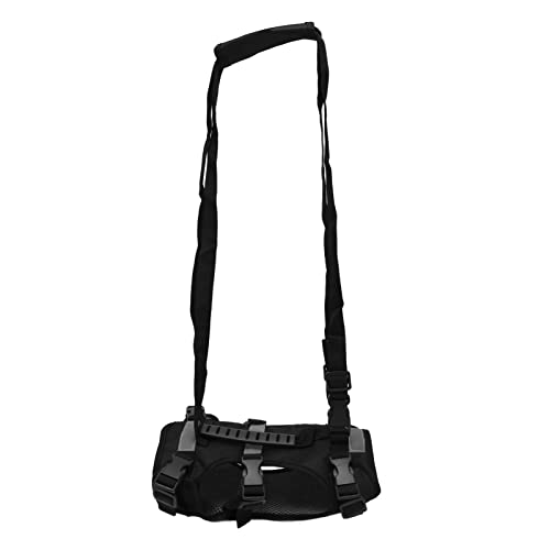 Katzenweste Leine verstellbare atmungsaktive Modehund -Hunde Walking -Leine Nylon geeignet für ältere Hunde mit Arthritis (S) von ETAINGYEUN