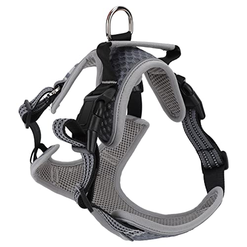 Pet -Gurt Verstellbares atmungsaktives Mesh Explosion Proof Pet Weste Gurt für Aktivität im Freien, der Grau geht, grau (XL) von ETAINGYEUN