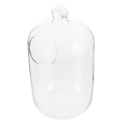 AST/1311 Mini-Fischbecken für kleine Zimmerpflanzen, dekoratives Aquarium von ETANULPEX