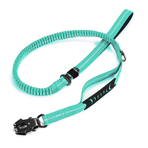 Hundeleine für Auto, Reisen, elastisch, stoßdämpfend, reflektierend, für Spaziergänge, Roadtrips, Nopull Hundeleine für Auto, Reisen, elastisch, stoßdämpfend, reflektierend, für Spaziergänge, Roadtrips, Nopull von ETAWDE