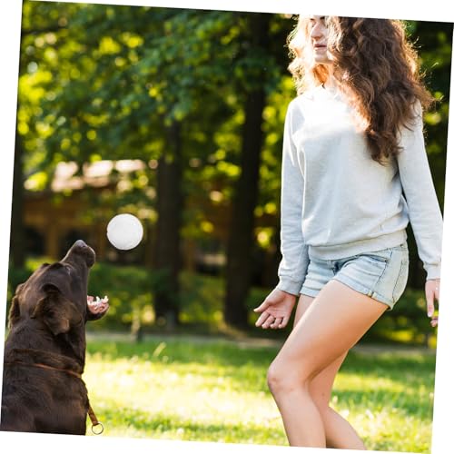 ETHZZLE 12stücke Tennisbälle Für Hunde Aus Gummi Bunte Hundebälle Für Große Und Kleine Hunde Trainingsbälle Mit Tasche Für Welpen Und Erwachsene von ETHZZLE