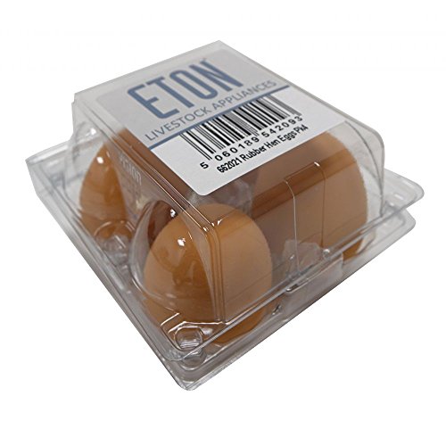 Eton Geflügel-Eier aus Gummi, Brain von Eton