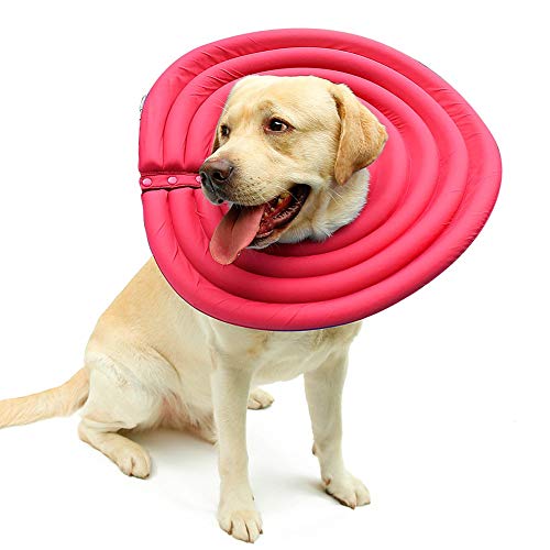 ETOPARS Haustier-Halsband für nach Operationen, Hundekegel Halsband Hund Elizabeth Halsband, Halskrause für Haustiere Schutzkragen für Katzen Kleine Hunde und Kaninchen von ETOPARS