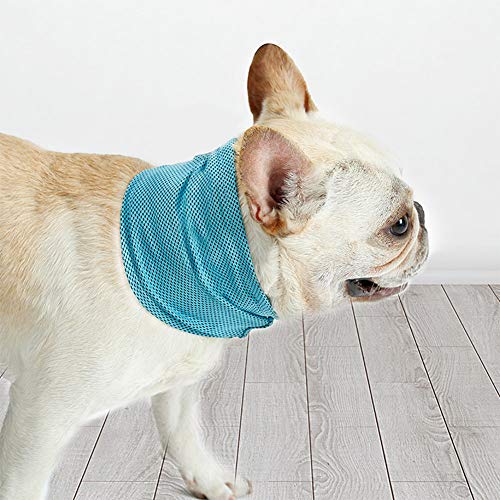 ETOPARS Hunde Kühlhalsband, Sommer Pet Instant Cooling Schal, Bandana für Hund, Hundeschal im Somme, halswickel für Haustier für Hunde Katzen von ETOPARS