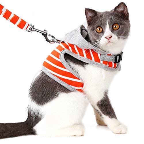 ETOPARS Katzengeschirr und Leine Set, Jacke für Kätzchen, Verstellbare Katzenweste, Weicher Streifen Baumwoll-Hoodie Katzen Brustgeschirr mit Leine ETOPARS Katzengeschirr und Leine Set, Jacke für Kätzchen, Verstellbare Katzenweste, Weicher Streifen Baumwoll-Hoodie Katzen Brustgeschirr mit Leine von ETOPARS