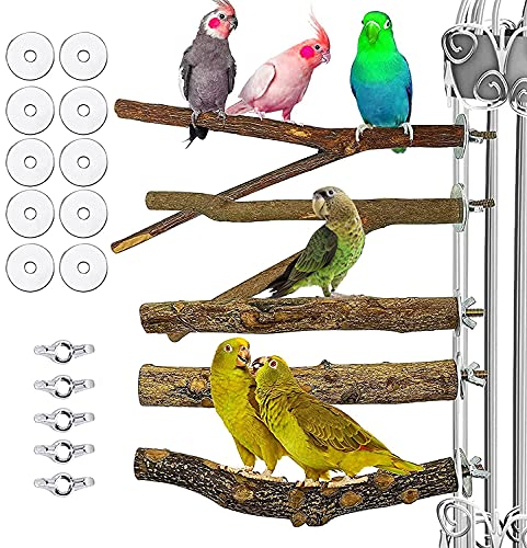 ETRAVEL Vogel-Sitzstangen für Papageien, Käfig, ca. 25,4 cm, Naturholz, für Papageien, Käfig, Nymphensittiche, Sittiche, Finken, Käfige, Vogelzubehör, 5 Stück von ETRAVEL