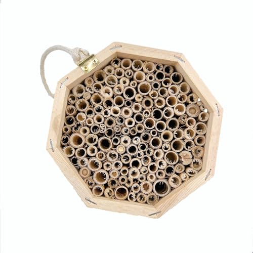 Insekten-Bienenhaus aus Holz, Naturholz, Käfer, Hotel, Unterschlupf, Garten, Nistkasten (Stil 1, Bildshow) von ETRAVEL