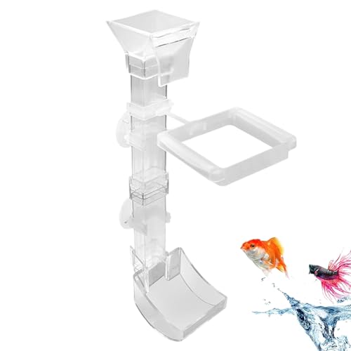 ETUCYNG Aquarium Futterautomat - Transparente Fütterungsröhre Für,Streuvermeidung Futterröhre Zubehör Für Kampffisch Teich Haus Garten von ETUCYNG