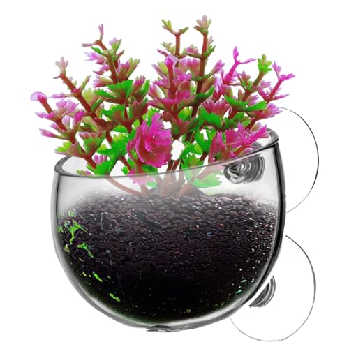 ETUCYNG Aquarium-Pflanzenhalter, Saugnapf, transparent, abnehmbarer Übertopf für lebende Betta- , Terrarien, Dekorationen ETUCYNG Aquarium-Pflanzenhalter, Saugnapf, transparent, abnehmbarer Übertopf für lebende Betta- , Terrarien, Dekorationen von ETUCYNG