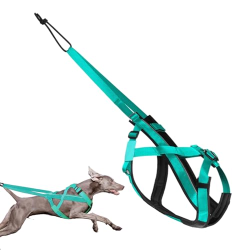 ETUCYNG Hundegeschirr mit Schlitten, reflektierend, groß, verstellbarer Gurt für Training, Sport, Spazierengehen, Training, Skaten, Outdoor-Aktivitäten, Schlittenziehen ETUCYNG Hundegeschirr mit Schlitten, reflektierend, groß, verstellbarer Gurt für Training, Sport, Spazierengehen, Training, Skaten, Outdoor-Aktivitäten, Schlittenziehen von ETUCYNG