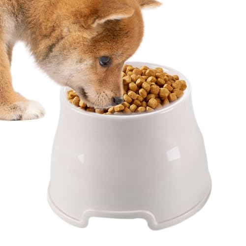 ETUCYNG Hundewasserschale, erhöhte Hundebereich,Erhöhte Katzenschale | Kratzfestes Haustier-Fütterungsgericht für große mittelgroße kleine Hunde Welpen Kätzchen im Freien Reisen von ETUCYNG