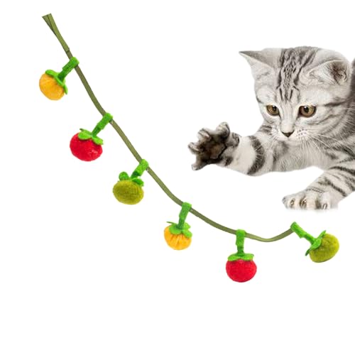 ETUCYNG Katzen Spielzeug mit Katzenminze - Haustier Katze Plüschtier Mit Katzenminze,Interaktiver Tomatenförmiger Begleiter Für Garten Park Wohnzimmer Schlafzimmer ETUCYNG Katzen Spielzeug mit Katzenminze - Haustier Katze Plüschtier Mit Katzenminze,Interaktiver Tomatenförmiger Begleiter Für Garten Park Wohnzimmer Schlafzimmer von ETUCYNG