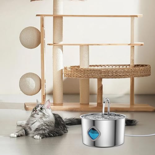 ETUCYNG Katzenbrunnen,3200ml Automatischer Trinkbrunnen Für Katzen | Edelstahlschale Automatische Tränke Für Katzen Und Hunde ETUCYNG Katzenbrunnen,3200ml Automatischer Trinkbrunnen Für Katzen | Edelstahlschale Automatische Tränke Für Katzen Und Hunde von ETUCYNG