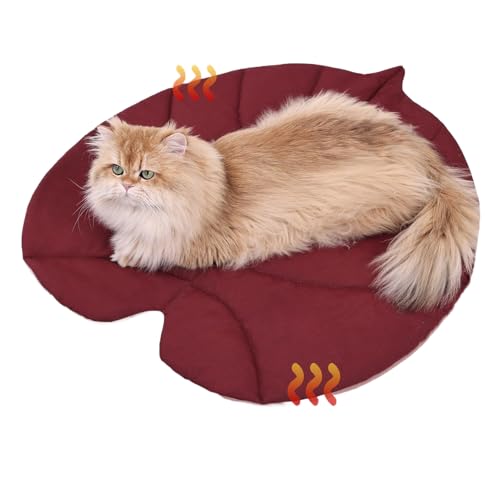 EUBEISAQI Haustier Wassermatte,Blattform Kühldecke Für Katzen | Doppelseitige Isolierung Katzenkissen Für Haus Reise Auto Balkon Garten Innenbereich Außenbereich EUBEISAQI Haustier Wassermatte,Blattform Kühldecke Für Katzen | Doppelseitige Isolierung Katzenkissen Für Haus Reise Auto Balkon Garten Innenbereich Außenbereich von EUBEISAQI