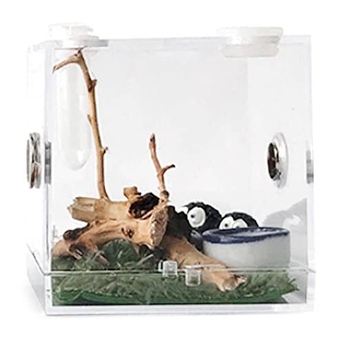 EUBEISAQI Insektenaufzuchtbox Transparente Acryl Reptilienfutterboxen Tragbarer Reptilienaufzuchtbehälter mit Metall-Lüftungsloch - für Spinne, Eidechse, Skorpion, Tausendfüßler von EUBEISAQI