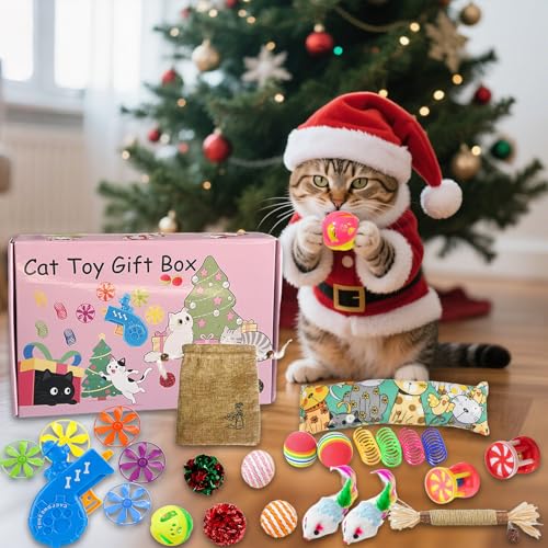 EUBEISAQI Interaktives Katzenspielzeug,Interaktiver Hüpfball Mit Weihnachtsmotiv Für Katzenwelpen - Robustes Katzenspielzeug Set Zur Bewegung Für Kleine Mittelgroße Und Große Katzen von EUBEISAQI