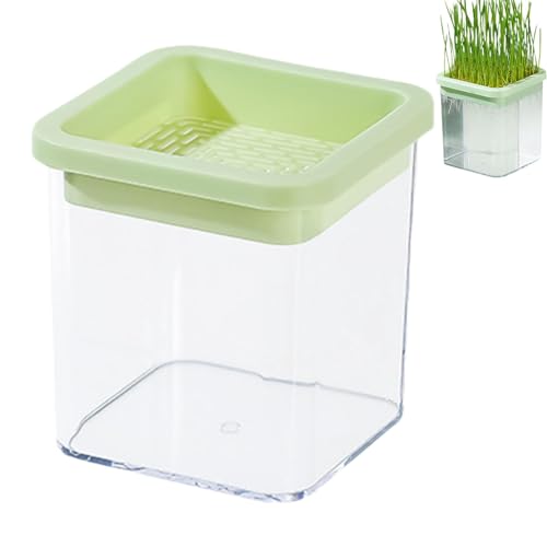 EUBEISAQI Katzengras-Tablett, Katzengrasbox, Katzenminze-Gras-Set, erdloses Kultur-Anzuchtset, Sämling- und Keimschalen für Indoor-Katzen und Haustiere EUBEISAQI Katzengras-Tablett, Katzengrasbox, Katzenminze-Gras-Set, erdloses Kultur-Anzuchtset, Sämling- und Keimschalen für Indoor-Katzen und Haustiere von EUBEISAQI
