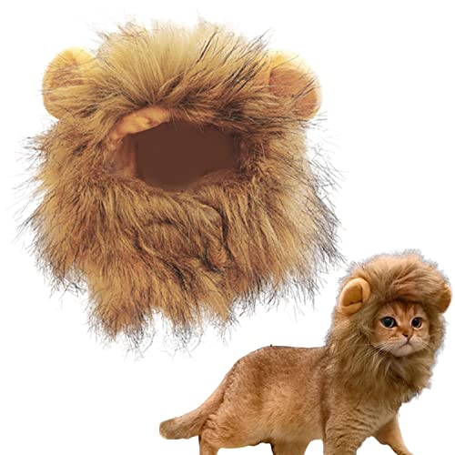 EUBEISAQI Kostüm für Katzen | Welpen-Kostüm, Cosplay-Perücke, Haustierkostüme, Hut für Weihnachten, Verkleidung, Zubehör, Dekoration für Kätzchen EUBEISAQI Kostüm für Katzen | Welpen-Kostüm, Cosplay-Perücke, Haustierkostüme, Hut für Weihnachten, Verkleidung, Zubehör, Dekoration für Kätzchen von EUBEISAQI