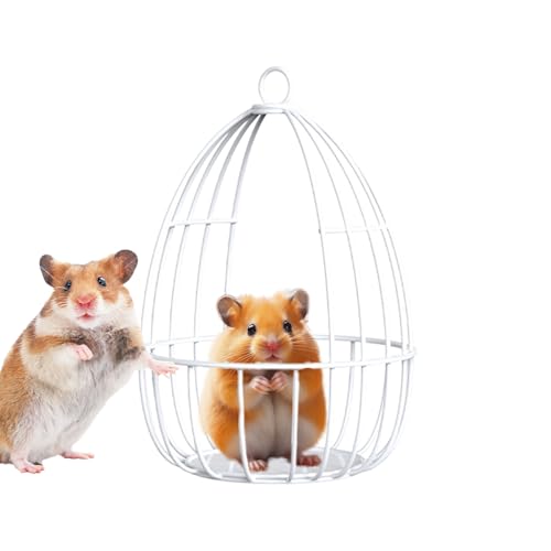Hamster Hängematte | Eisendraht Gitter Spielzeug Für Hamster,Käfig Hängeschaukel Nest Haustierzubehör Für Streifenhörnchen Kleintiere Spielen Zwergkaninchen Hamster Hängematte | Eisendraht Gitter Spielzeug Für Hamster,Käfig Hängeschaukel Nest Haustierzubehör Für Streifenhörnchen Kleintiere Spielen Zwergkaninchen von EUBEISAQI