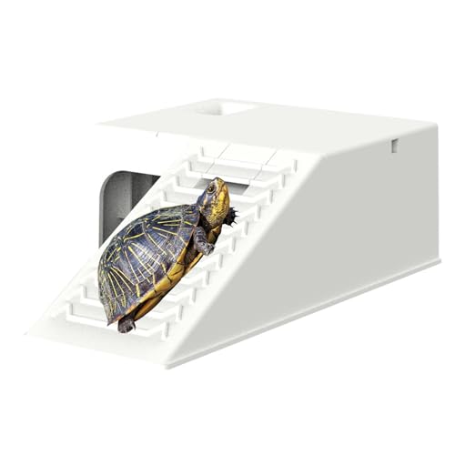 Plattform zum Sonnenbaden für Schildkröten - -Kletterplattform mit glatter und Flacher Oberfläche - Reptilienversteck-Plattform mit Filterwasser, Schildkrötenterrasse für kleine Reptilien-Schild Plattform zum Sonnenbaden für Schildkröten - -Kletterplattform mit glatter und Flacher Oberfläche - Reptilienversteck-Plattform mit Filterwasser, Schildkrötenterrasse für kleine Reptilien-Schild von EUBEISAQI