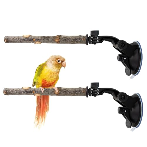 Saugnapf Vogel Sitzstange | 2 Stücke Holzspielzeug Trainingsstand | Holz Vogelsitzstange Mit Saugnapf Für Fenster Spielzeug,Für Fenster Balkon Terrasse Baum Dusche Wand Spiegel von EUBEISAQI