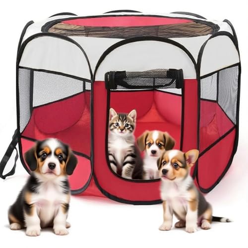 Welpenauslauf Hundegitter 74x74x43 cm faltbar – Laufstall für Welpen & kleine Hunde – Hundegehege für Zuhause, Outdoor – XXL Hundeauslauf mit Tür – Robuster Metallkäfig für Welpenbox Welpenauslauf Hundegitter 74x74x43 cm faltbar – Laufstall für Welpen & kleine Hunde – Hundegehege für Zuhause, Outdoor – XXL Hundeauslauf mit Tür – Robuster Metallkäfig für Welpenbox von EUBSWA