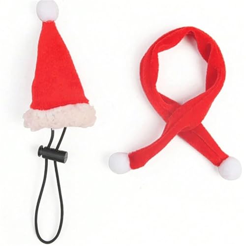 2-teiliges Eidechsen-Weihnachtskostüm-Set – Nikolausmütze & Schal für Reptilien, Bartdrache, Leguan, Gecko, festliches Outfit, lustige Haustier-Weihnachtsdekorationen & Foto-Requisiten von EUIYCBA