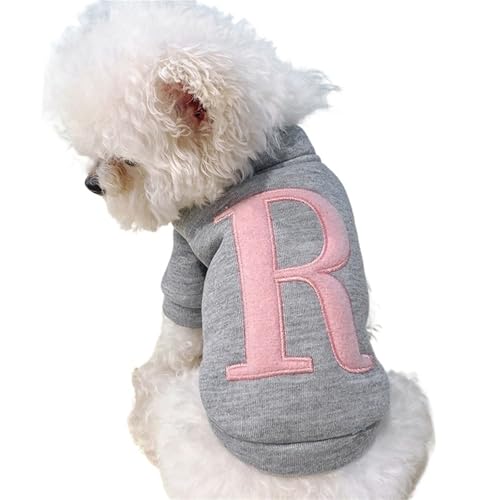 Teddybär-Hunde-Kapuzenpullover für kleine Hunde, Samt, warm, Buchstabe R, Kapuzenjacke für Chihuahua, Zwergspitz, Pudel, Herbst und Winter, mit Fleece gefütterter Welpenpullover mit von EUIYCBA