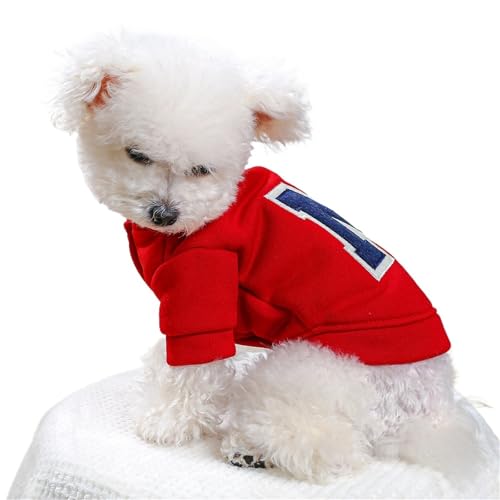 Teddybär-Hunde-Kapuzenpullover für kleine Hunde, Samt, warm, Buchstabe R, Kapuzenjacke für Chihuahua, Zwergspitz, Pudel, Herbst und Winter, mit Fleece gefütterter Welpenpullover mit von EUIYCBA