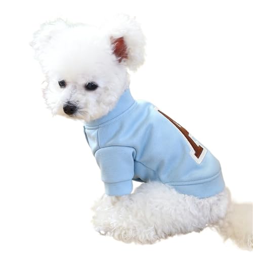 Teddybär-Hunde-Kapuzenpullover für kleine Hunde, Samt, warmer Buchstabe R, Kapuzenjacke für Chihuahua, Zwergspitz, Pudel, Herbst und Winter, mit Fleece gefütterter Welpenpullover mit von EUIYCBA