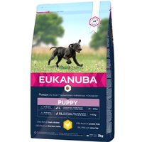 EUKANUBA Trockenfutter Hund Large Breed Puppy, Huhn 3 kg von EUKANUBA