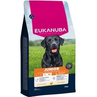 EUKANUBA Trockenfutter Hund, Junior, groß, Huhn 15 kg EUKANUBA Trockenfutter Hund, Junior, groß, Huhn 15 kg von EUKANUBA